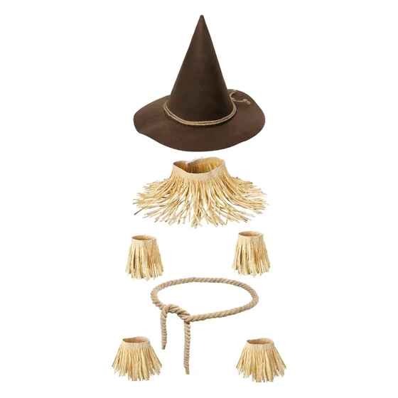 Ashgrave Scarecrow Costume, closer in