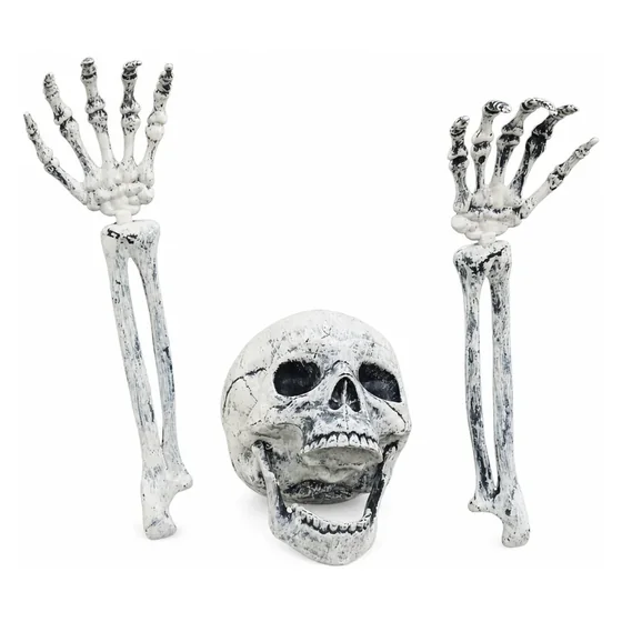 Ashgrave Skeleton, closer in