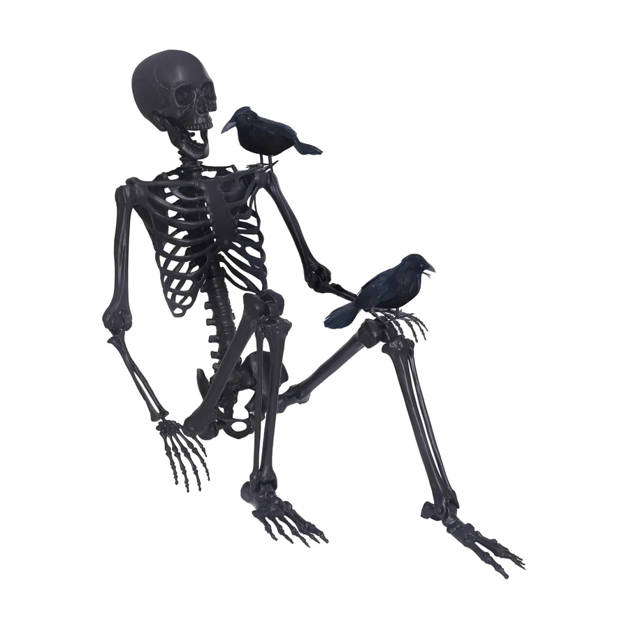 Blackmoor 5.4 ft Skeleton, studio packshot on white