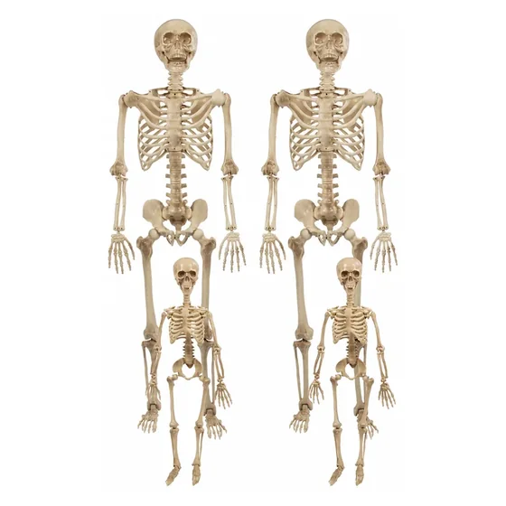 Cindervale Skeleton Family, 4 pack, closer in