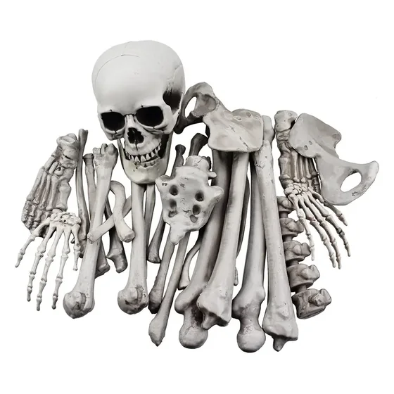 Coffinwood Loose Bones, 28 pieces, closer in