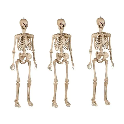 Three five foot poseable skeletons arranged on a lawn