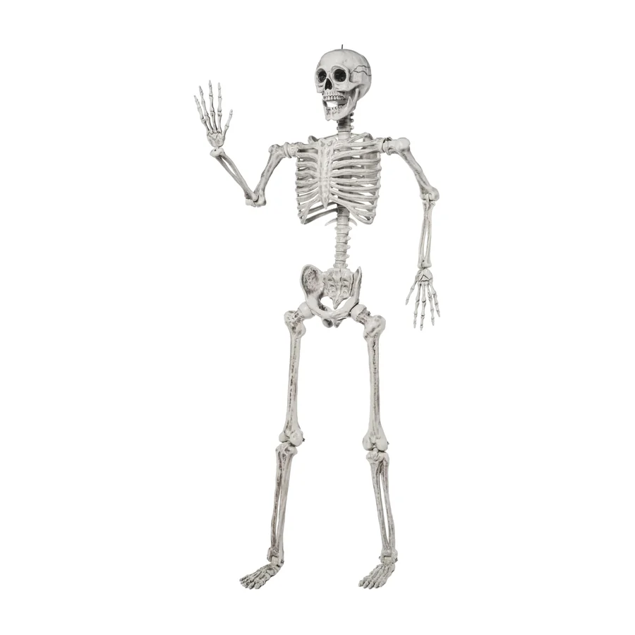 Grimsby 5.6 ft Skeleton, studio packshot on white