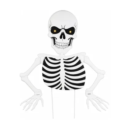 Hollowbrook Skeleton, studio packshot on white
