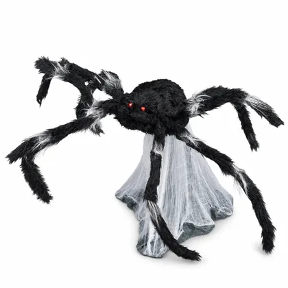 Lanternlee Spider, studio packshot on white