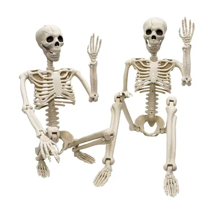 Ravenmoor 3 ft Skeleton, studio packshot on white