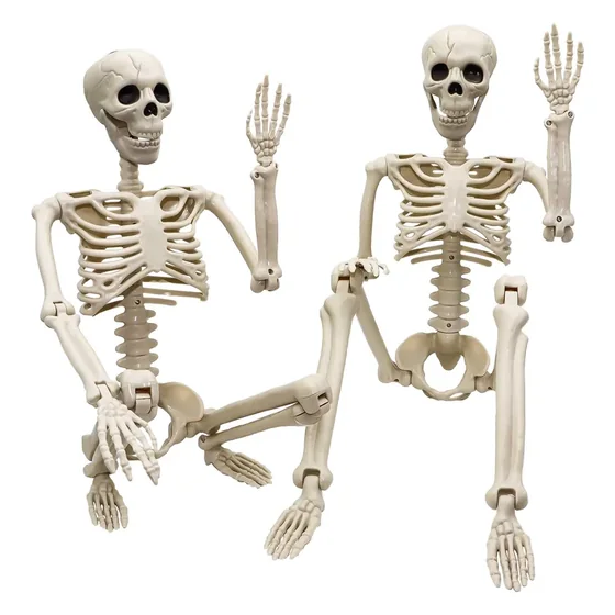 Ravenmoor 3 ft Skeleton, closer in