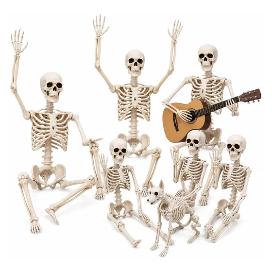 Rookhaven Skeleton 6 pack (3 x 5.4 ft + 3 x 3 ft), closer in
