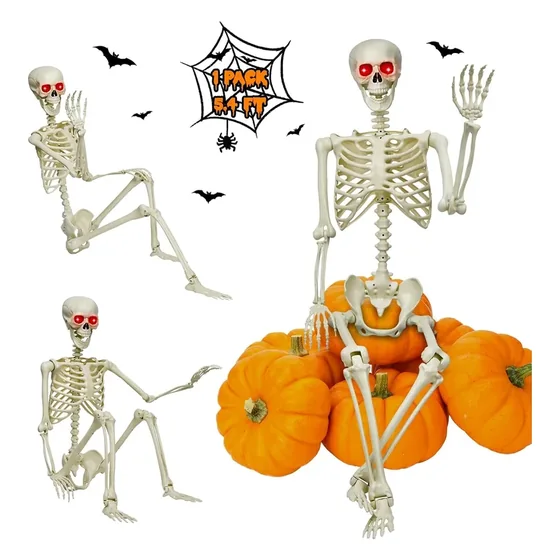 Vesper 5.4 ft Skeleton, closer in