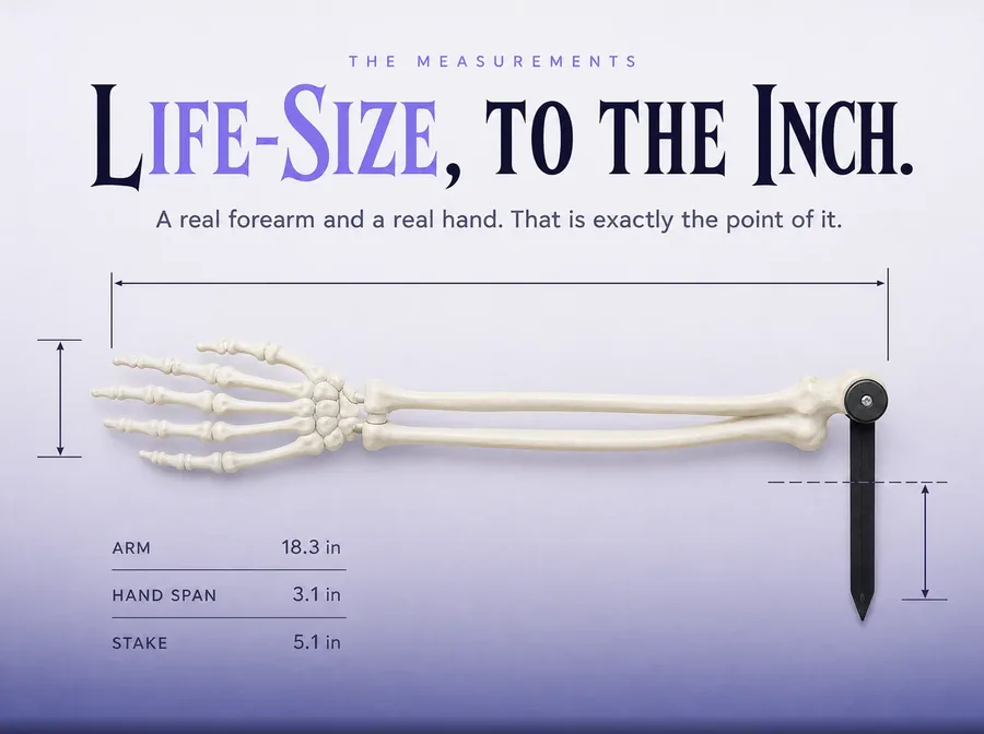 Technical size drawing of one arm stake with measurement lines along the arm, the hand and the stake.